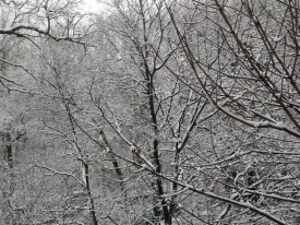 Флудилка. Болталка. Трепалка - 2016-2017 - PICT0077.JPG