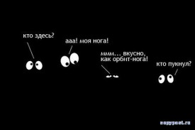 Флудилка. Болталка. Трепалка - 2016-2017 - 1207768403_image00004.jpg