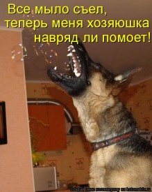 Флудилка. Болталка. Трепалка - 2016-2017 - 949939.jpg