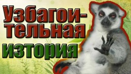 Флудилка. Болталка. Трепалка - 2016-2017 - img.jpg