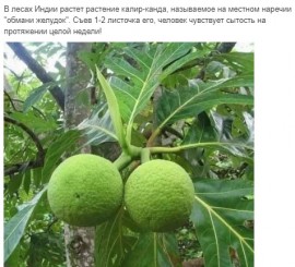 Флудилка. Болталка. Трепалка - 2016-2017 - Безымянныйрнгшщж.jpg