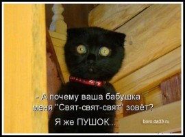Флудилка. Болталка. Трепалка - 2016-2017 - 3310.jpg