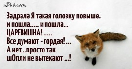 Флудилка. Болталка. Трепалка - 2016-2017 - 03c587599f0622787156c84db3bfb6b3.jpg