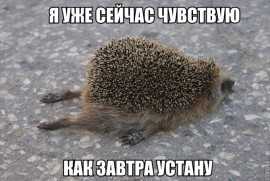 Флудилка. Болталка. Трепалка - 2016-2017 - dBM1GgyRqCo.jpg