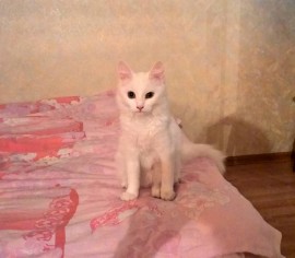 Флудилка. Болталка. Трепалка - WP_20180918_00_40_57_Pro.jpg