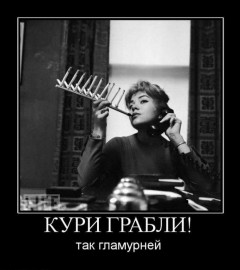 Флудилка. Болталка. Трепалка - 1253541205_1253269089_215986_kuri-grabli.jpg