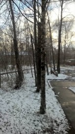 Флудилка. Болталка. Трепалка - WP_20181027_11_38_25_Pro.jpg