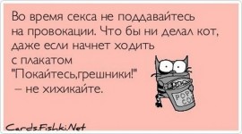 Флудилка. Болталка. Трепалка - 5a5bb83c5b28dde109ed98a3f084d83a_i-1079.jpg