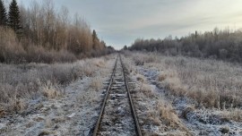 Флудилка. Болталка. Трепалка - IMG-20181111-WA0004.jpg