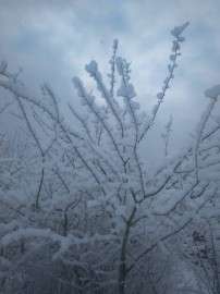 Флудилка. Болталка. Трепалка - IMG_20181219_103239.jpg