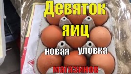 Флудилка. Болталка. Трепалка - яйца.jpg