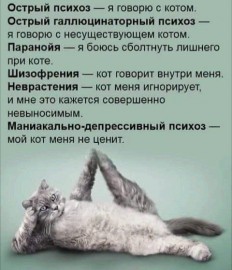 Флудилка. Болталка. Трепалка - IMG_20190214_210955.jpg