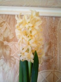 Флудилка. Болталка. Трепалка - IMG_20190218_160944.jpg
