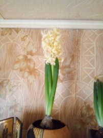 Флудилка. Болталка. Трепалка - IMG_20190218_160937.jpg