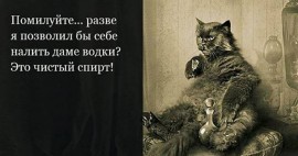 Флудилка. Болталка. Трепалка - 1200-630-kopirovat-755.jpg