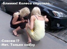 Флудилка. Болталка. Трепалка - Блондинки.jpg
