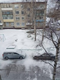 Флудилка. Болталка. Трепалка - IMG-20190501-WA0004.jpg
