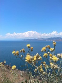 Флудилка. Болталка. Трепалка - IMG_20190623_130347.jpg
