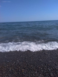 Флудилка. Болталка. Трепалка - IMG_20190706_165328.jpg