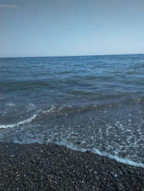 Флудилка. Болталка. Трепалка - IMG_20190706_165337.jpg