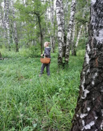 Флудилка. Болталка. Трепалка - IMG_20190714_002759615.jpg