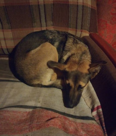 Флудилка. Болталка. Трепалка - IMG_20190825_202242786.jpg