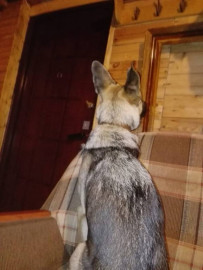 Флудилка. Болталка. Трепалка - IMG-20190826-WA0004.jpg