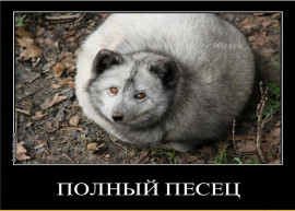 Флудилка. Болталка. Трепалка - e2a97bes-960.jpg