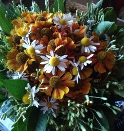 Флудилка. Болталка. Трепалка - IMG_20190902_133941.jpg