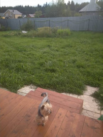 Флудилка. Болталка. Трепалка - IMG_20190902_140157.jpg