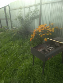 Флудилка. Болталка. Трепалка - IMG_20190902_135938.jpg