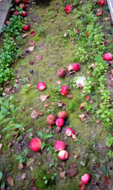 Флудилка. Болталка. Трепалка - IMG_20190902_142400431.jpg