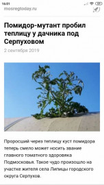 Флудилка. Болталка. Трепалка - Screenshot_2019-09-02-16-01-09-310_com.android.chrome.jpg