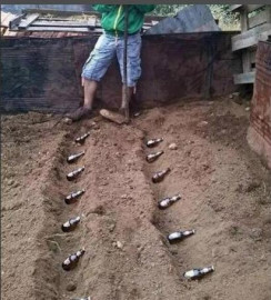 Флудилка. Болталка. Трепалка - дача.JPG