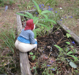 Флудилка. Болталка. Трепалка - дача1.jpg