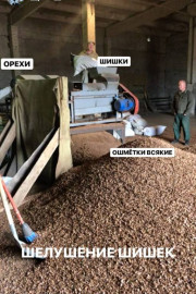 Флудилка. Болталка. Трепалка - IMG_20190910_125932.jpg