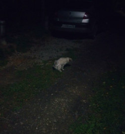 Флудилка. Болталка. Трепалка - IMG_20190916_223417992.jpg