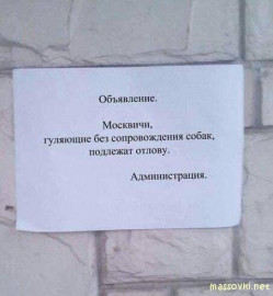 Коронавирус и съемки. - uZousKNEC3k.jpg