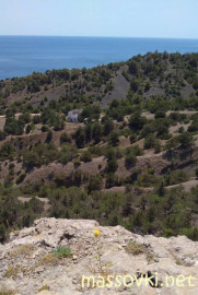 Флудилка. Болталка. Трепалка - IMG_20200708_180633.jpg