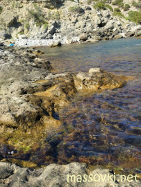 Флудилка. Болталка. Трепалка - IMG20200708155100.jpg