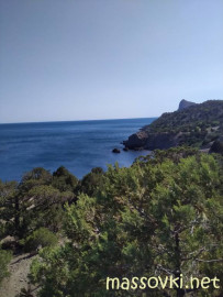 Флудилка. Болталка. Трепалка - IMG20200708163258.jpg