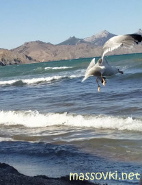 Флудилка. Болталка. Трепалка - IMG_20200711_212204.jpg