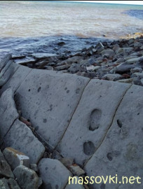 Флудилка. Болталка. Трепалка - IMG_20200711_220243.jpg