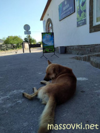 Флудилка. Болталка. Трепалка - IMG20200711171341.jpg