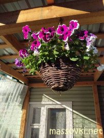 Флудилка. Болталка. Трепалка - IMG20200723184603.jpg