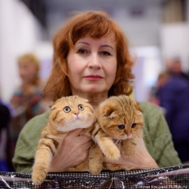 мать 65 лет 8 977 5310144