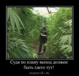 Встречи. Обсуждения встреч. Планирование. - 1330019421_001.jpg