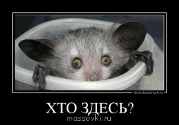 Встречи. Обсуждения встреч. Планирование. - demotivatorium_ru_hto_zdes_.jpg