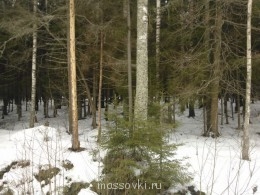 Встречи. Обсуждения встреч. Планирование. - WP_000902.jpg