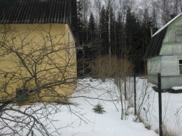 Встречи. Обсуждения встреч. Планирование. - WP_000869.jpg